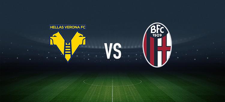 乃至整个中 乃至整个中