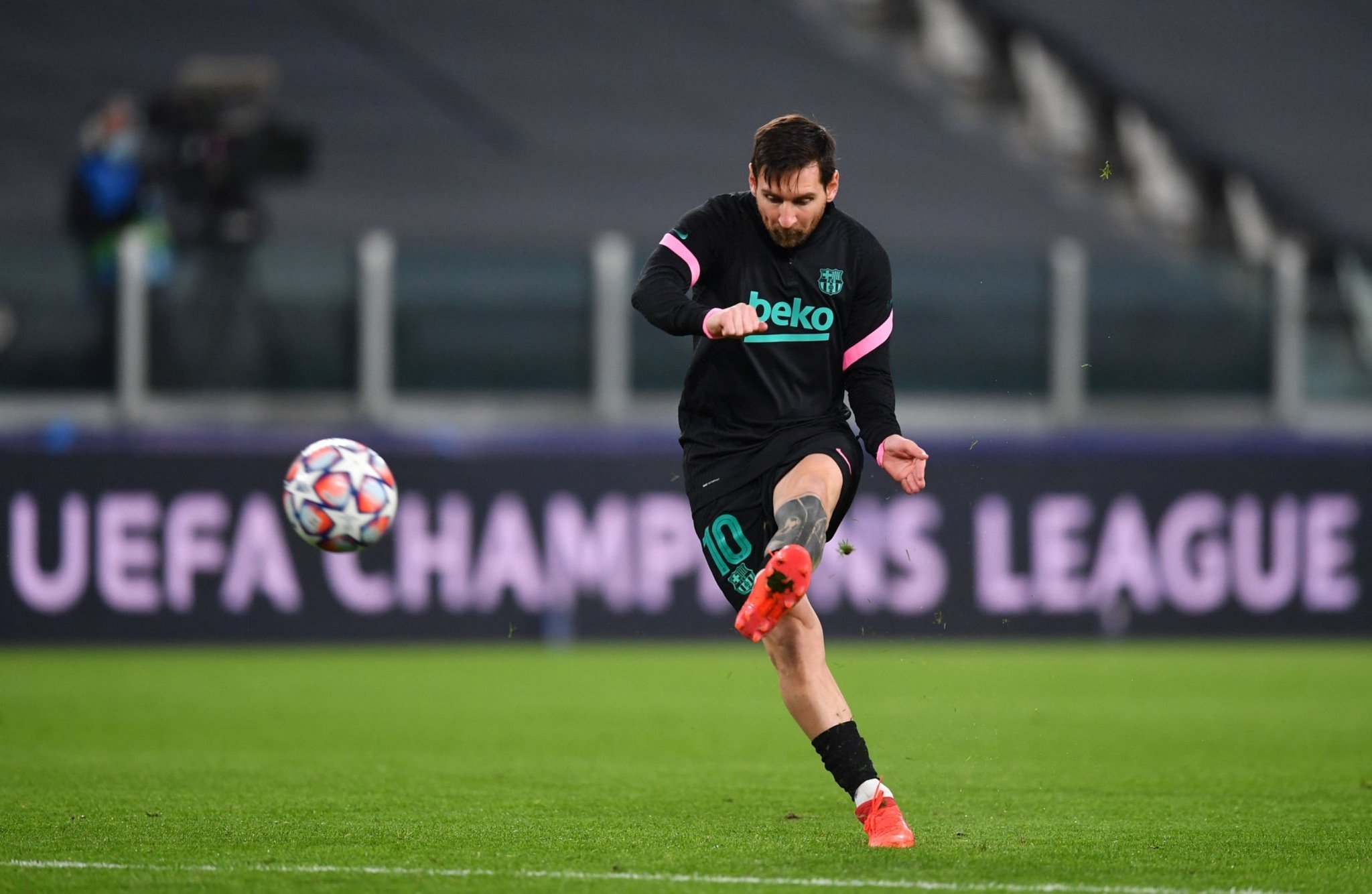 我们不仅会 我们不仅会