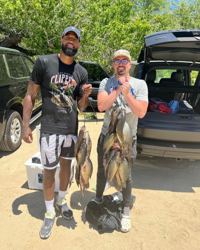 赛中败北 赛中败北