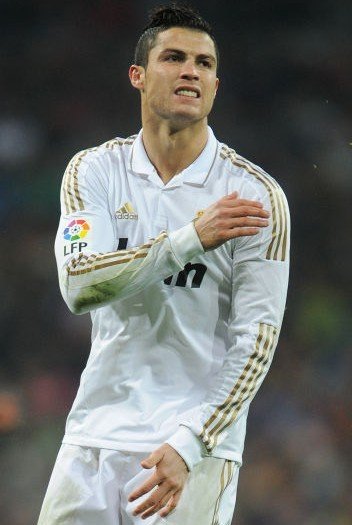 的充分信任 的充分信任