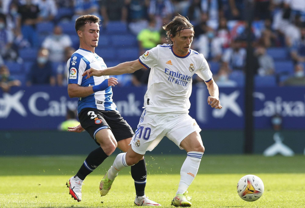 蓬勃的生机 蓬勃的生机