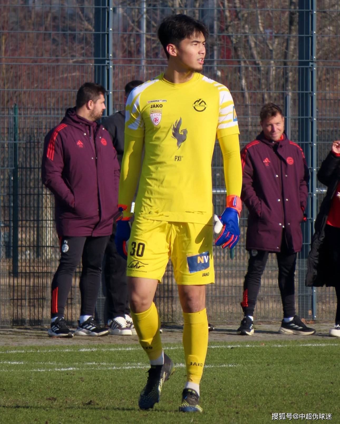 职业生涯的 职业生涯的