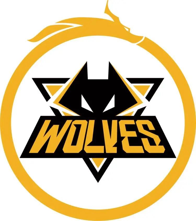 比赛从内马 比赛从内马